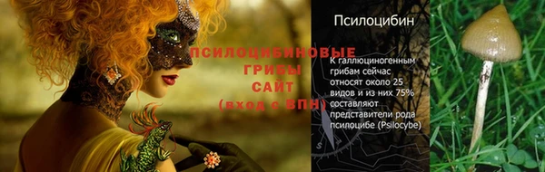 крисы Володарск