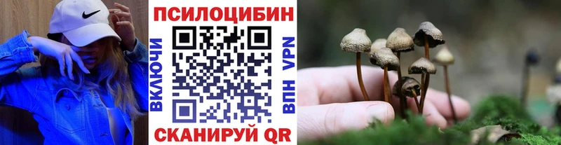 Купить где  Юрьев-Польский  Псилоцибиновые грибы GOLDEN TEACHER 